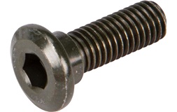 Bolt M8X25X5 til bremseskive, VGA X1