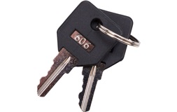 Nøgler 2 stk. for tænding, S19+
