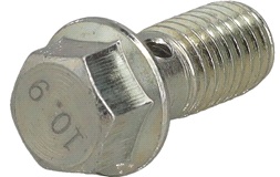 Skrue/bolt M10x1,5x30,5