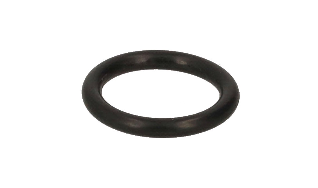  O-ring 15 x 2,5 mm
