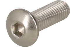 Unbracobolt M5X15mm rustfri rundt hoved