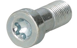 Banjobolt, turbolader