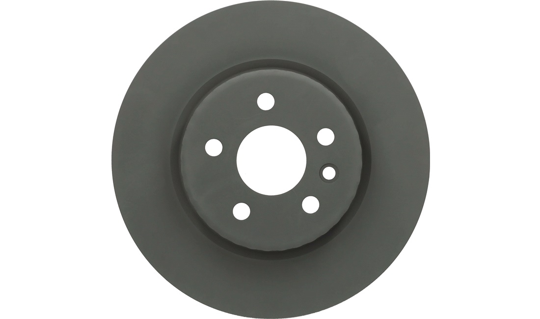  300 x 10 mm