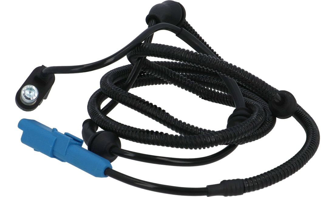  Sensor, Abs