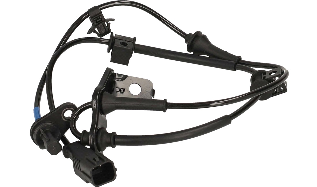 Sensor, Abs