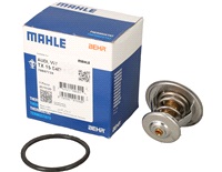  Termostat, kylv&auml;tska