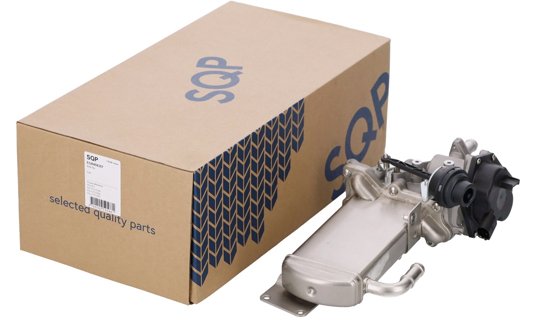  EGR-ventil Elektrisk Med pakninger