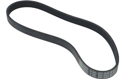 Kilerem - 6PK842 ELAST 