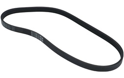 Kilerem - 5PK926 ELAST 