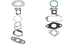 Pakningssæt for motor Giantco g-Buddy